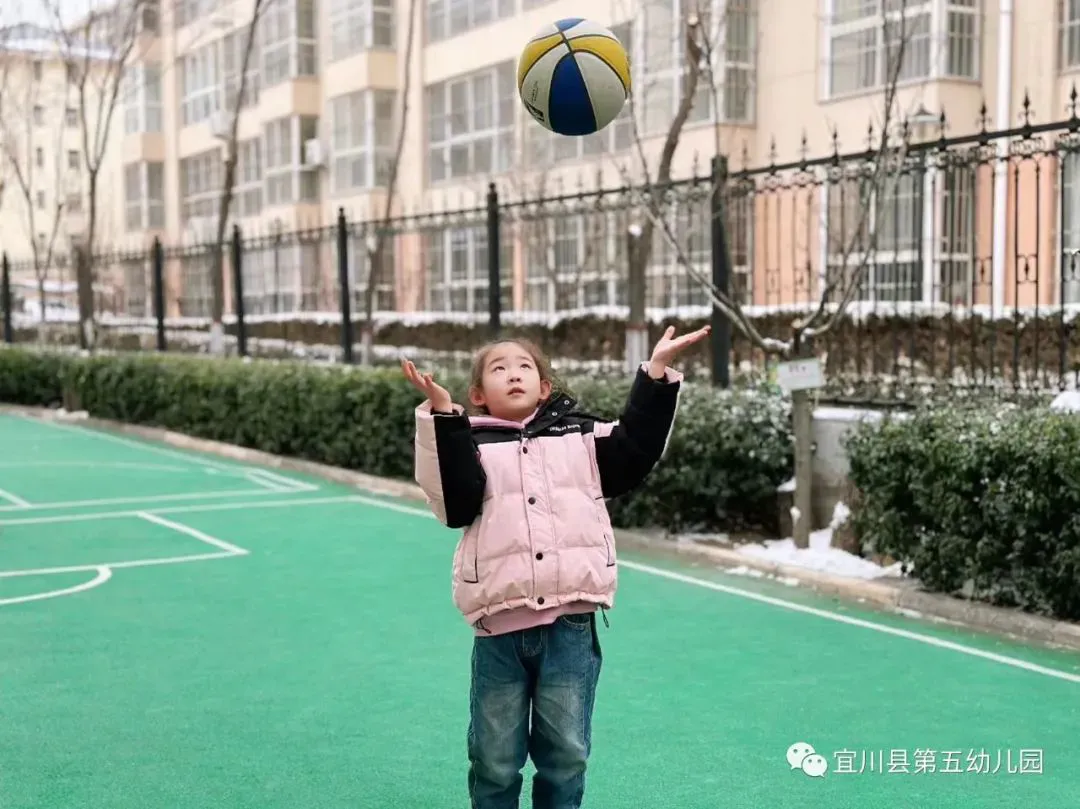 如何为不同水平的球员制定个性化的篮球训练策略_1